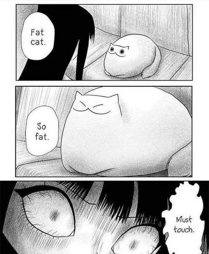 ToraPero - Adoptable tweet media