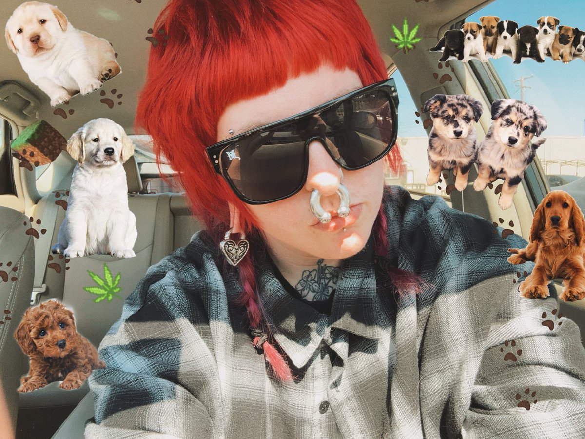 𝚎 𝚟 𝚊 𝚗 tweet media