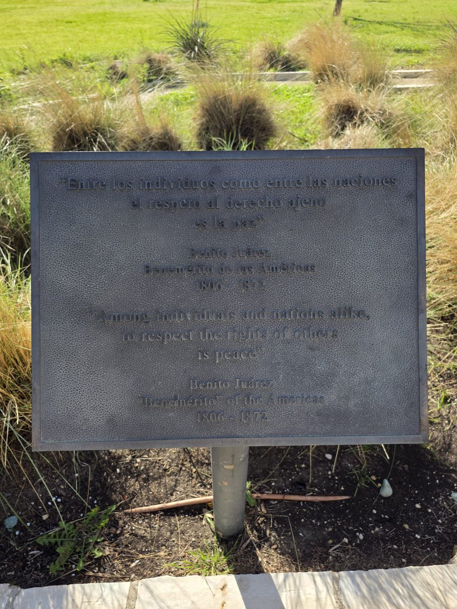 ConsulMexDal tweet media