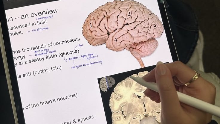 madeleine✶ tweet media