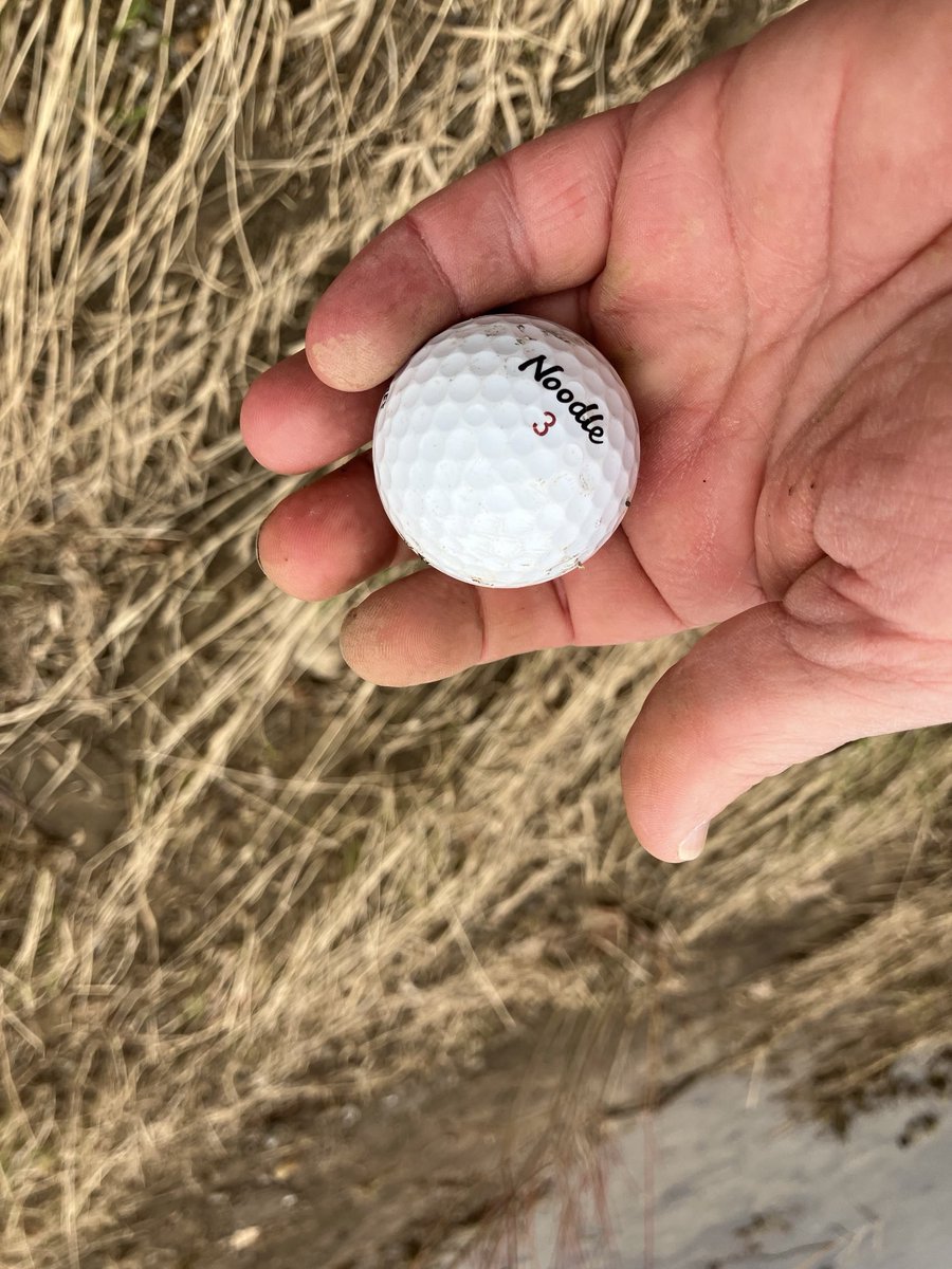 Andy Whitcomb tweet media