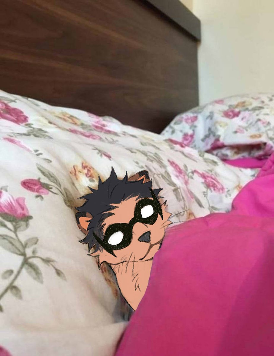 blakey ◕⁠人◕ tweet media