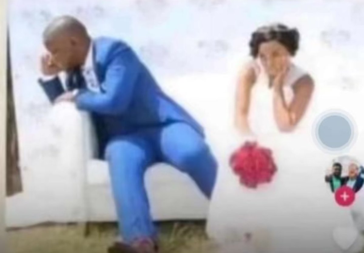 Nikol Lavrin tweet media