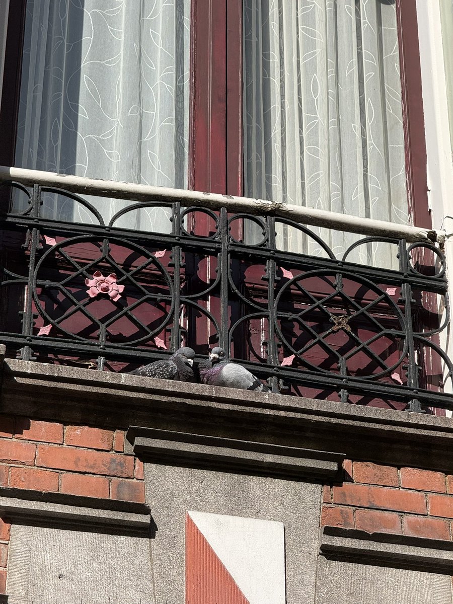 Esutick's tweet image. Happy first day of Spring 🥹✨🍃🌞