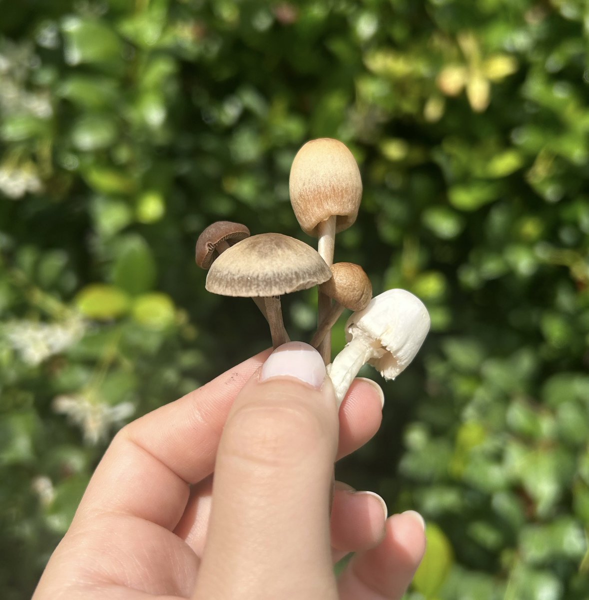 ➳ Vali ♱ tweet media