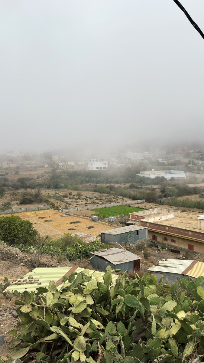 علي الغامدي | 📸 tweet media