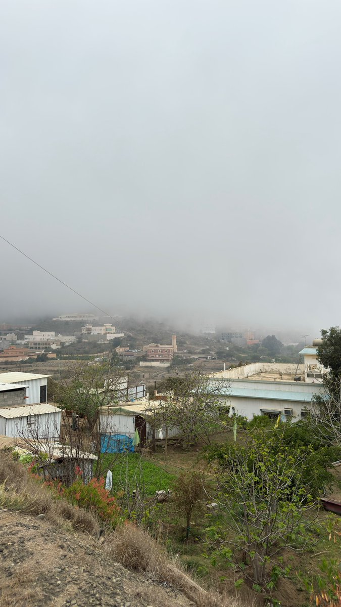 علي الغامدي | 📸 tweet media