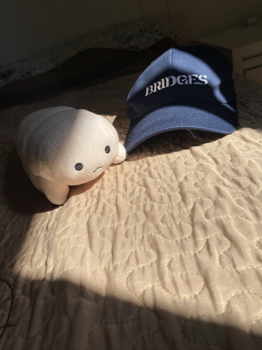 𝐟𝐫𝐚𝐠𝐢𝐥𝐞 tweet media