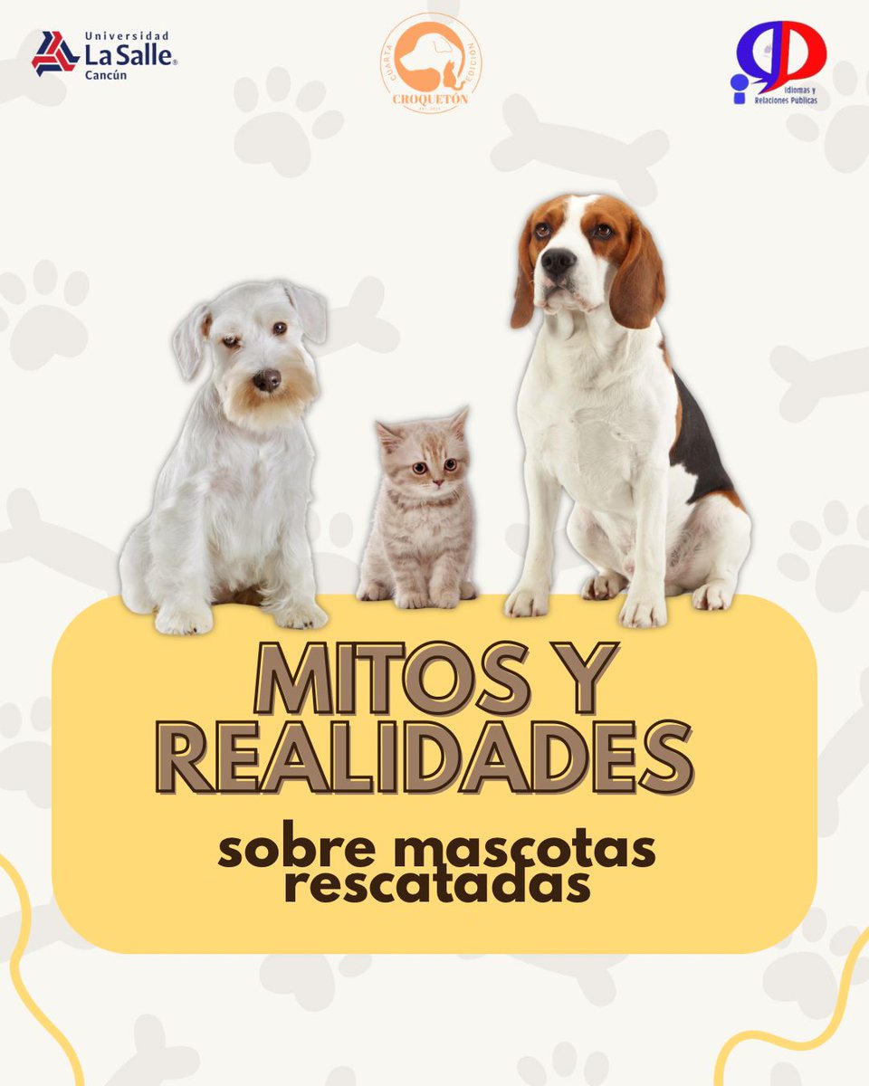 IRPLaSalle's tweet photo. Mito vs realidad sobre perros rescatados.
Su historia empezó con abandono, pero terminó con una segunda oportunidad.
Adoptar no es solo llevar un perro a casa, es darle una nueva vida.
Apoya la adopción responsable 🐾
#LaSalleCancún
#IIRRPP
#RompiendoMitos
#SoyIIRRPP https://t.co/M0PIe6LqNj