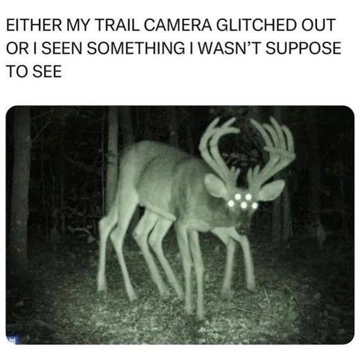 Spill The Memes tweet media