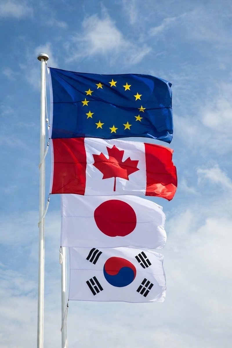 Hugo Moreira 🇪🇺 tweet media