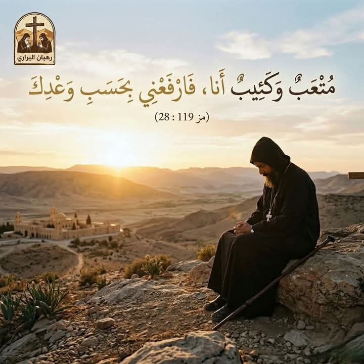 Hanan Sabry tweet media