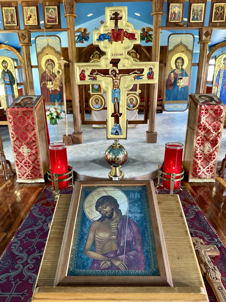 Bree Solstad tweet media