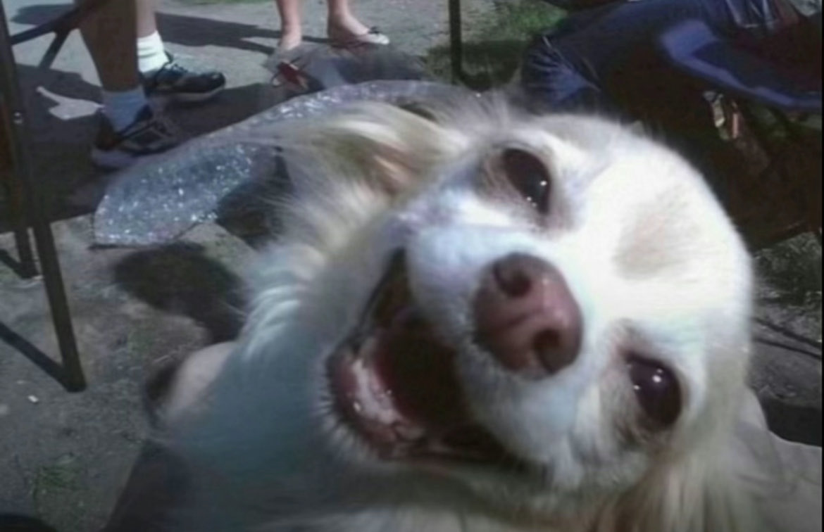 Loveware ᧔ෆ᧓ tweet media