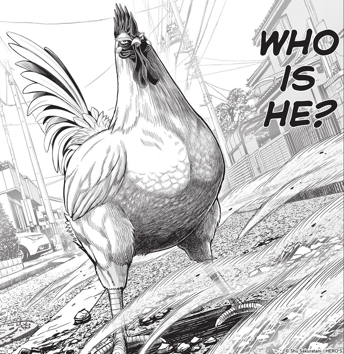 Zangoose (ザングース) tweet media