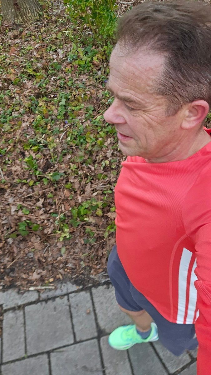 Jan vd Ruitenbeek tweet media