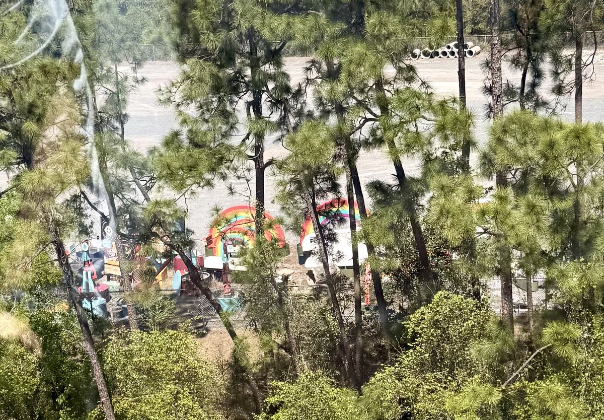 Mariann Bell tweet media