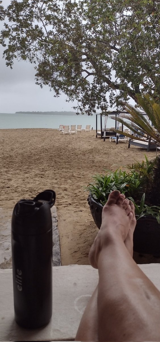 Hélène St-Denis tweet media