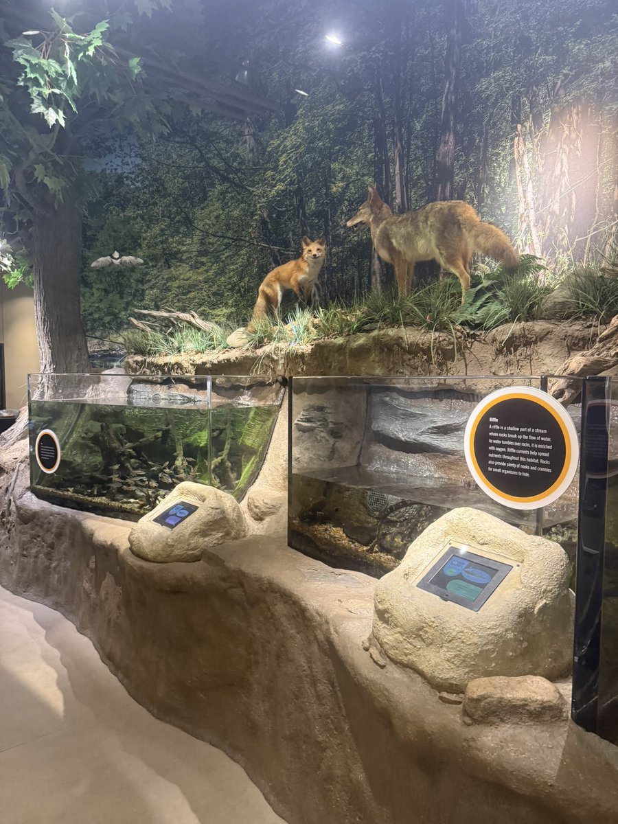 Mayor Tim DeGeeter 🇺🇦 tweet media