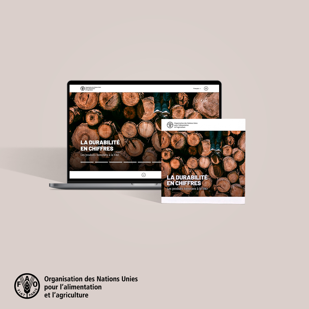 FAO en français tweet media