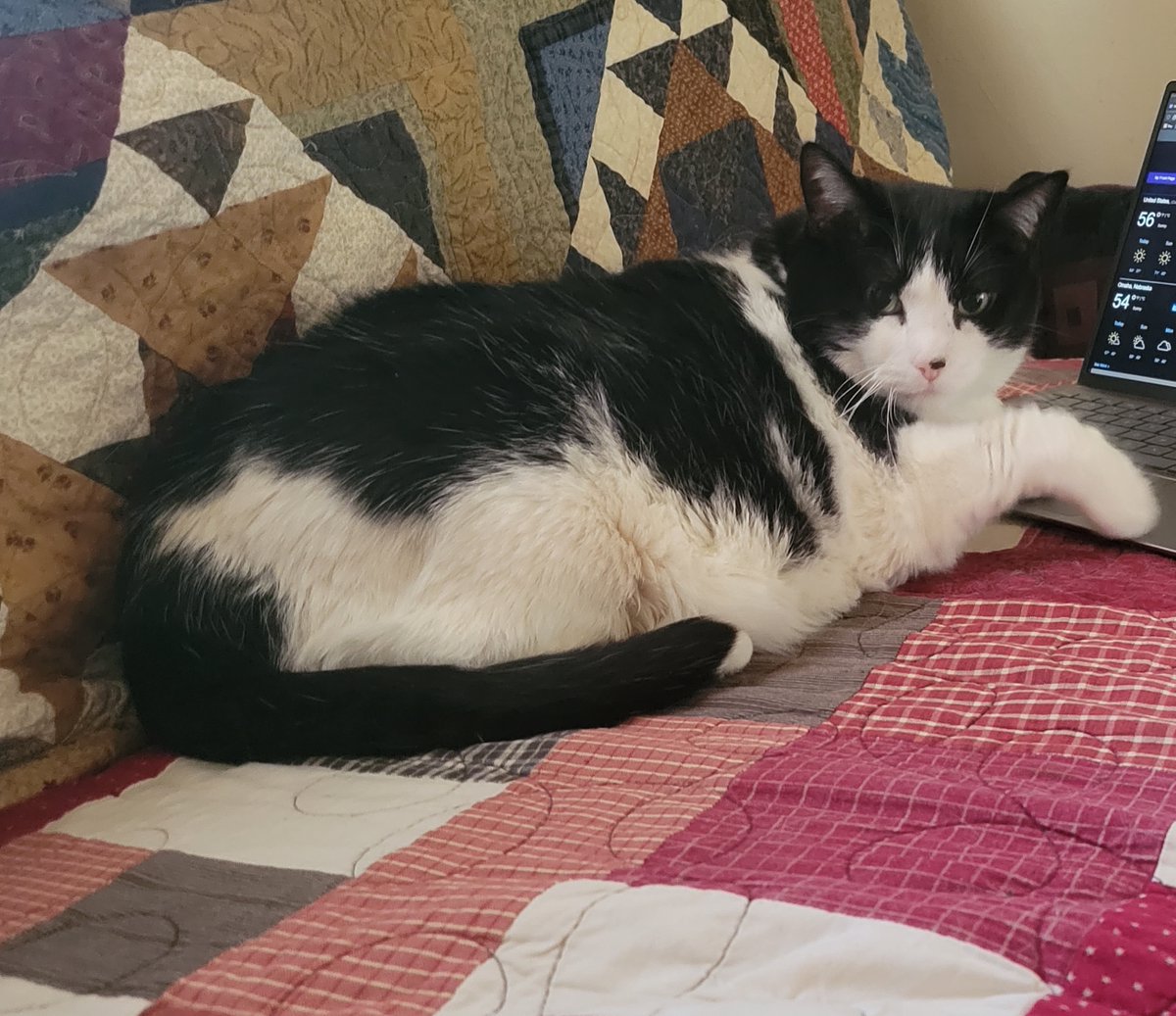 Michael "De-bot X" Sweet tweet media