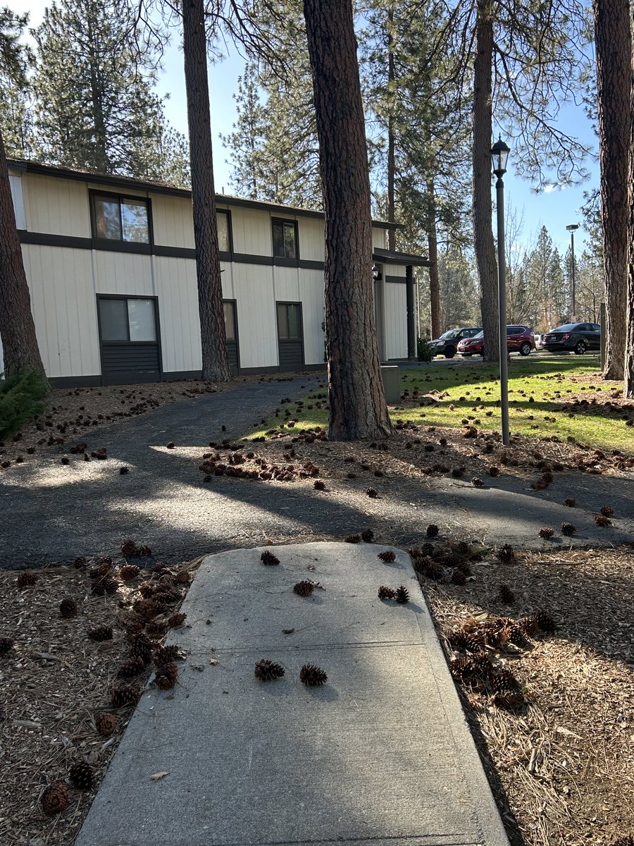 Stacy 😎 tweet media