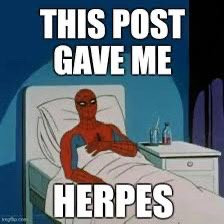 Tina Siamsa 🌻🌈 🇺🇦🇮🇪 tweet media