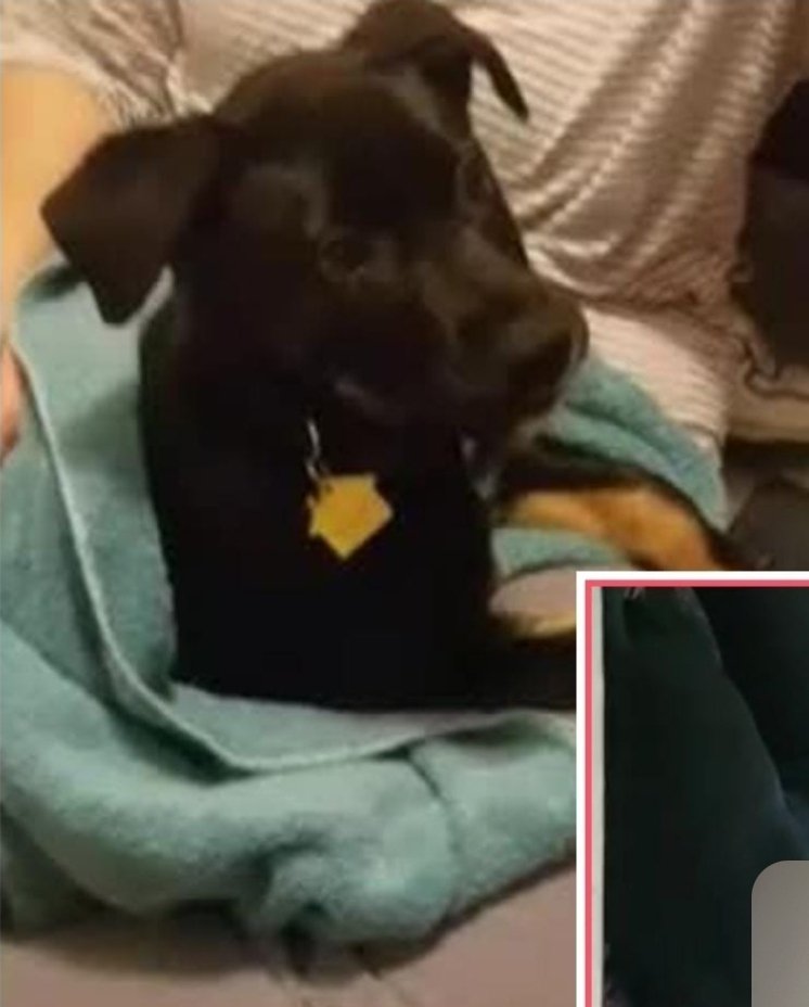 ✦STELLꓥR✦ tweet media