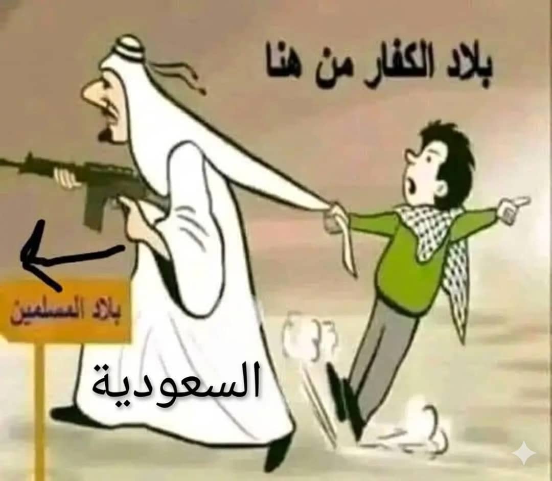 محمد الريامي tweet media