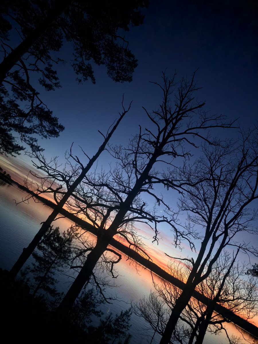 Emil MTO tweet media