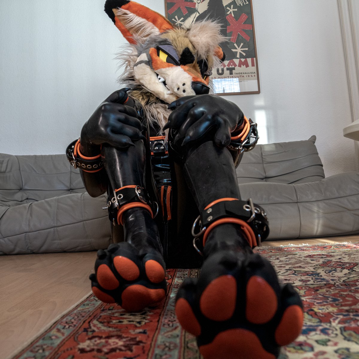 Lake Coyote tweet media