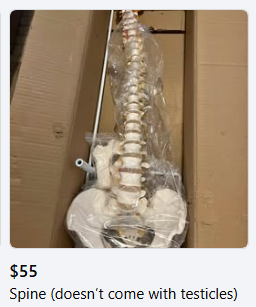 🥉 Pipkin Pippa 🔌🐰 Phase-Connect tweet media