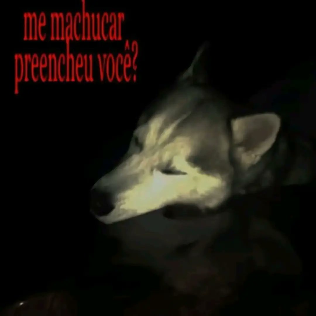 Frases em baixa qualidade tweet media