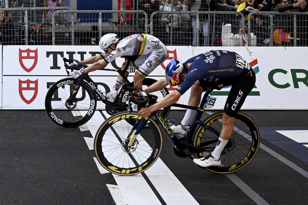 Domestique tweet media