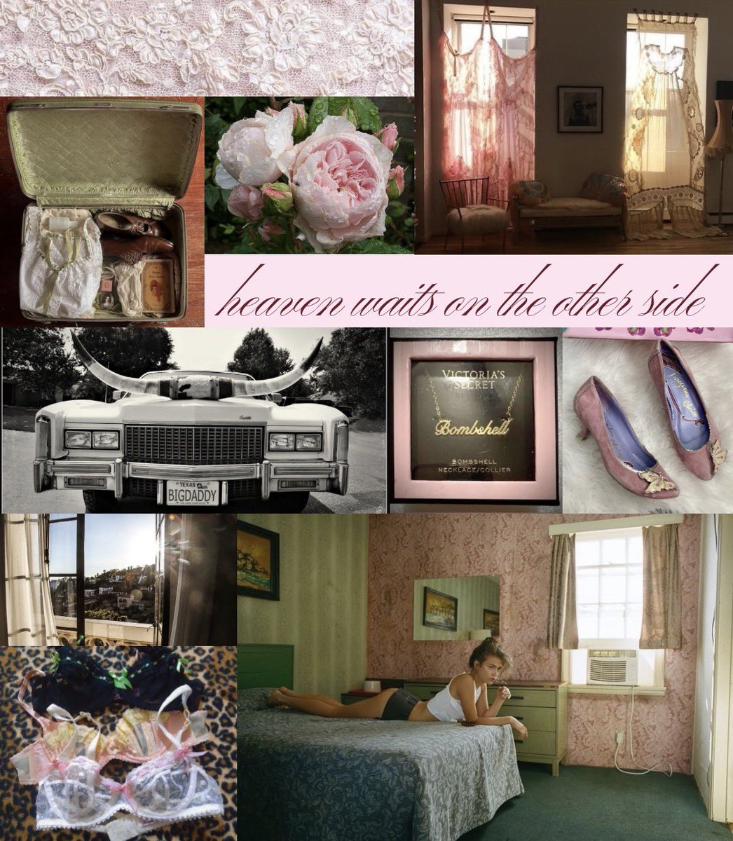 charlotte tweet media