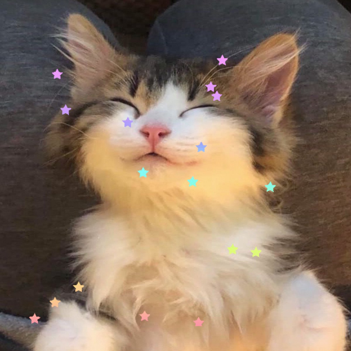 spork⁷⋆｡☾⋆𝙴𝙲𝙷𝙾 (@jmspork) on Twitter photo 