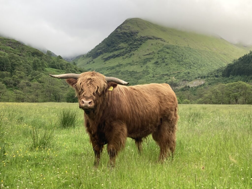 Sama Hoole tweet media