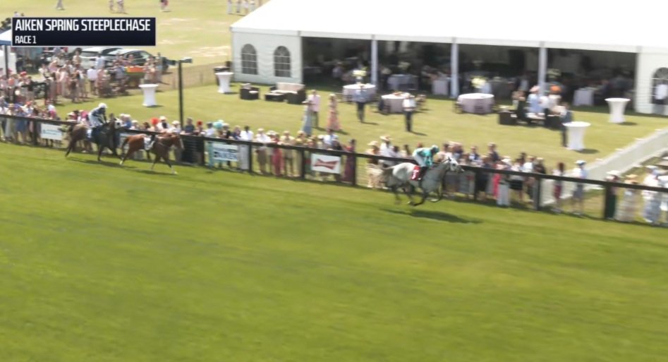 SportsNewsIRELAND tweet media