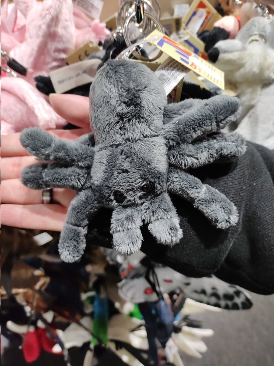 🦁Lasse: We’ve found a friend of Webster

<a href="/webster8_legs/">Webster the Spider</a>