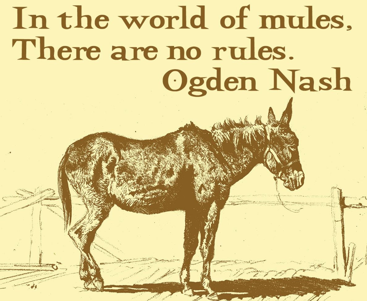 Peachy Keenan tweet media