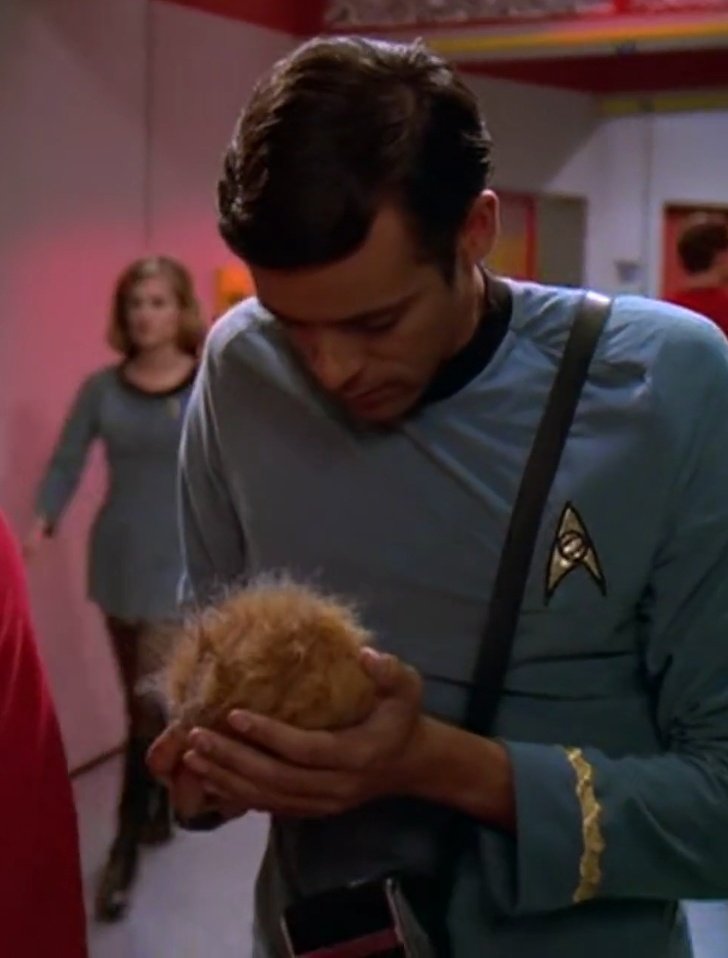 Yaffa the Lesbian Witch🖖 tweet media