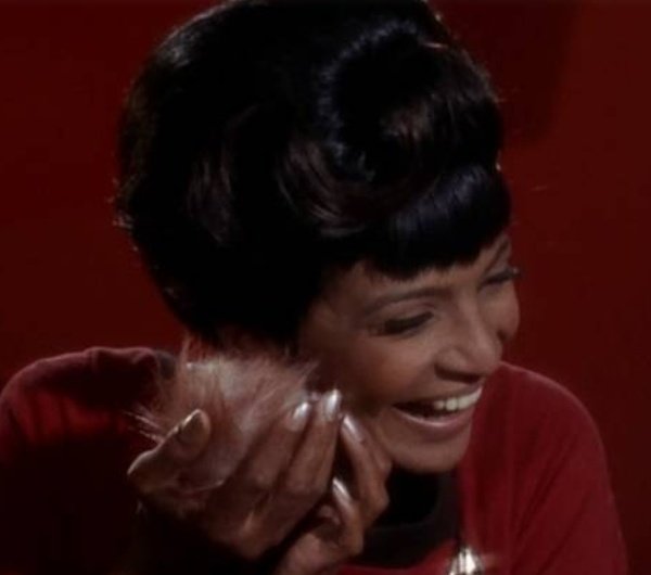 Yaffa the Lesbian Witch🖖 tweet media