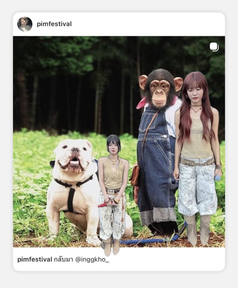 જjinli tweet media