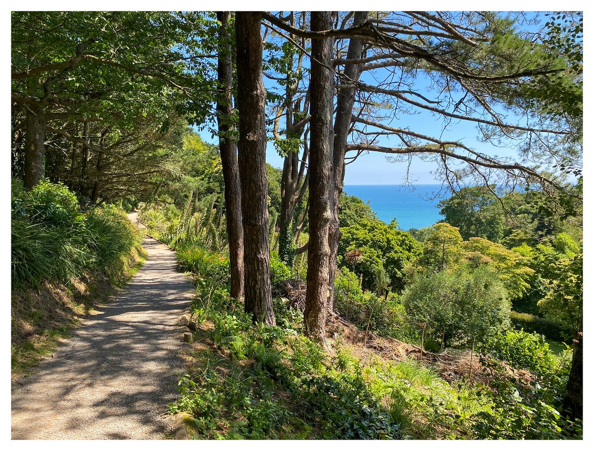 Visit Devon tweet media