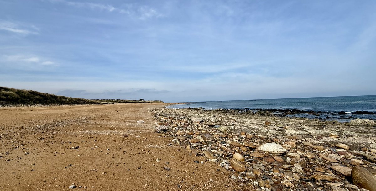 WindyWilson88's tweet image. *Saturday March 21st 13:00

Windy says we stopped at Kingsbarns earlier so the boys could stretch their legs . . . What a day 😎

#beach #vanlife #nature #photography #beachlife