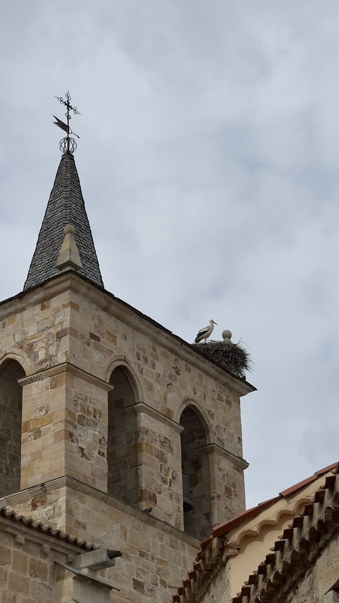 El Barroquista tweet media