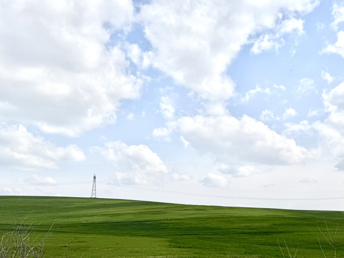 NoMan’sLand tweet media