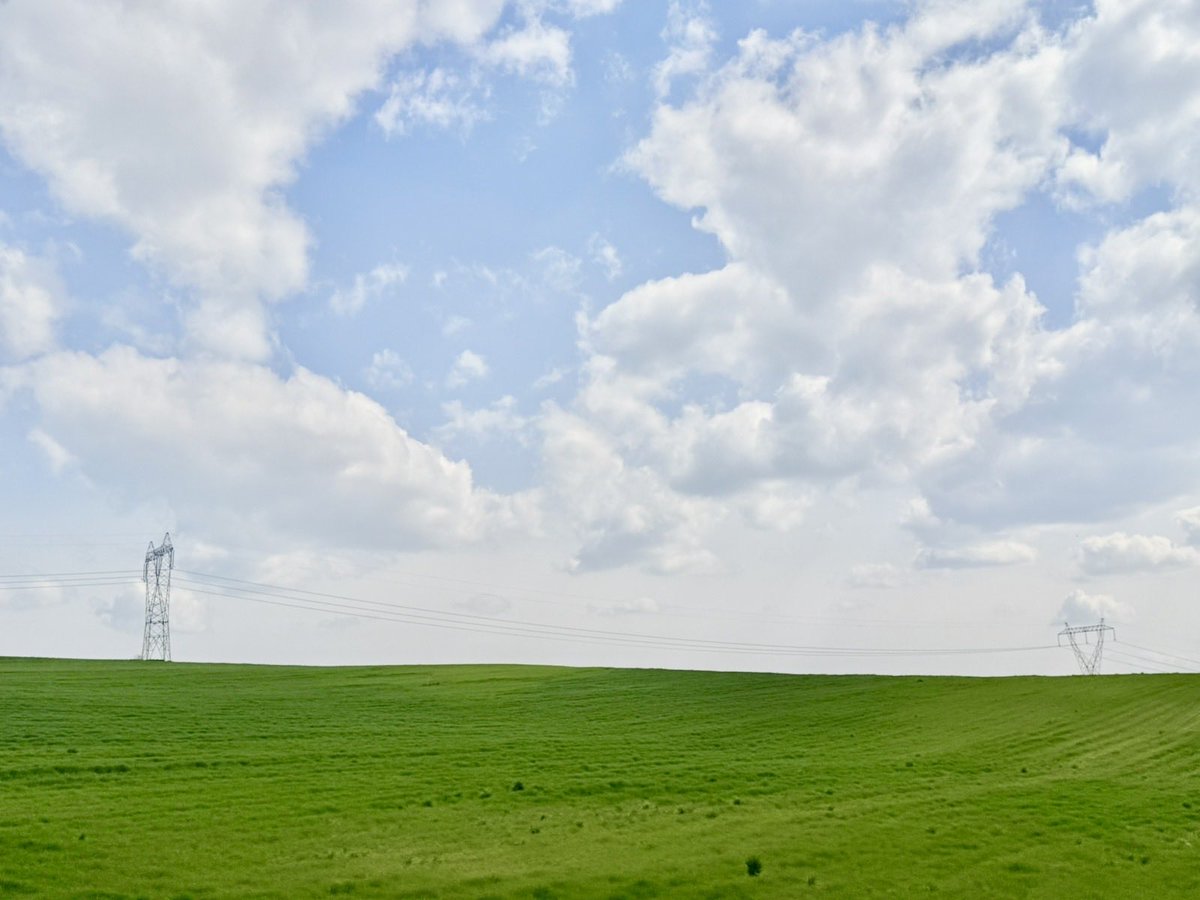 NoMan’sLand tweet media