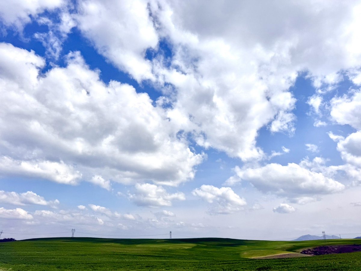 NoMan’sLand tweet media