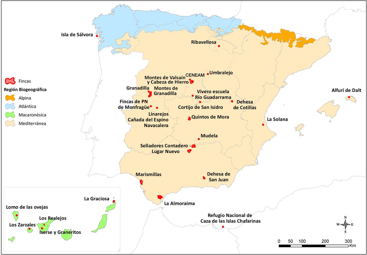 APROAM 🏞️ tweet media